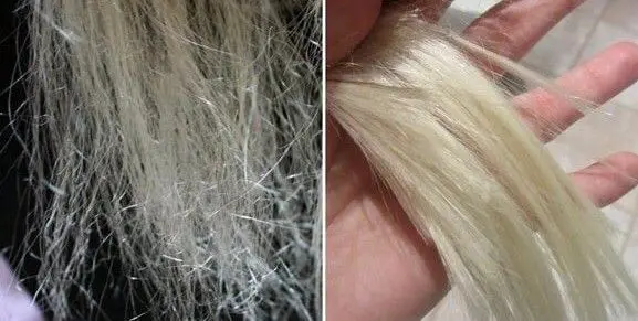 OLAPLEX-TRATAMIENTO-RECONSTRUCTOR-PELUQUERIA-MOURE-PALMA-DE-MALLORCA-6