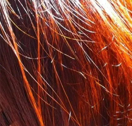 cabellos-color-perfecto-de-cerca-centros-moure-1