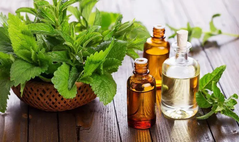 productos-aromaterapia-vegana-biologica-para-el-pelo-ondulado-rizado-y-liso-3