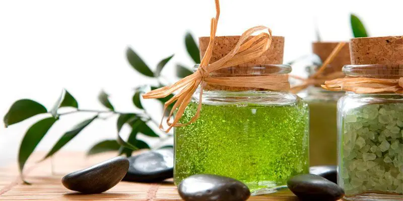 productos-veganos-para-el-cabello-ondulado-y-rizado-1-1