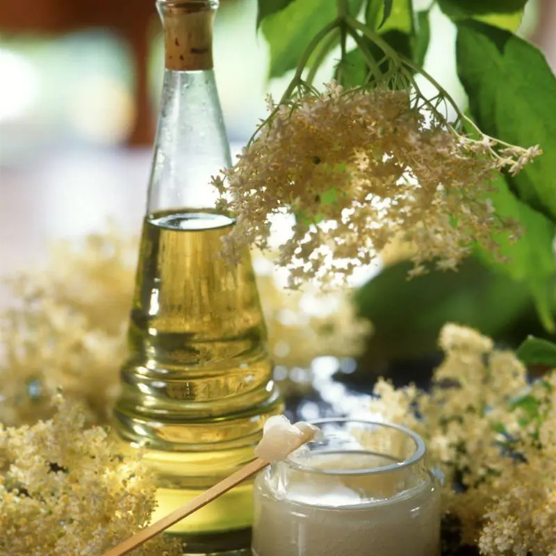 productos-veganos-para-el-cabello-ondulado-y-rizado-2-1
