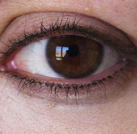 MICROPIGMENTACION-DE-PESTANAS-1-e1602099375306